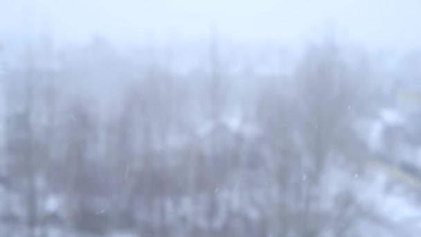 Nieve voladora en invierno primer plano en el fondo del mal tiempo — Vídeos de Stock