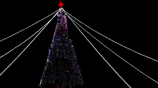 Árbol de Navidad de invierno sobre fondo negro — Vídeos de Stock