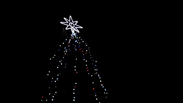 Árbol de invierno árbol de Navidad sobre fondo negro primer plano — Vídeos de Stock