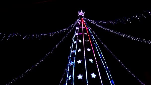 Árbol de Navidad árbol de Navidad luces intermitentes sobre fondo negro — Vídeo de stock