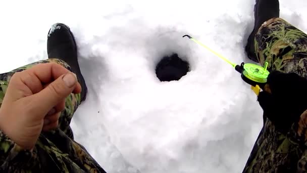 Pesca deportiva de hielo de invierno. Pescador captura pescado — Vídeos de Stock
