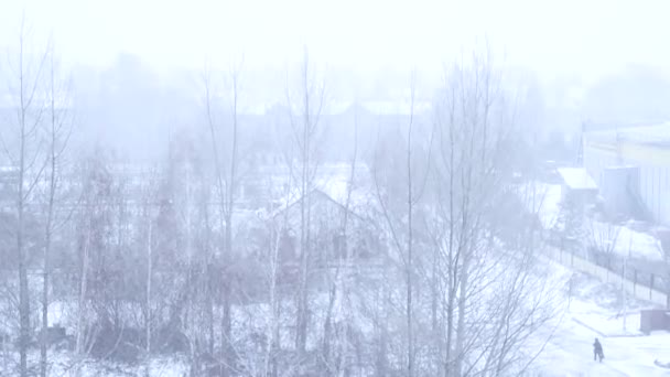 Nieve voladora en el fondo de la ciudad de invierno — Vídeos de Stock