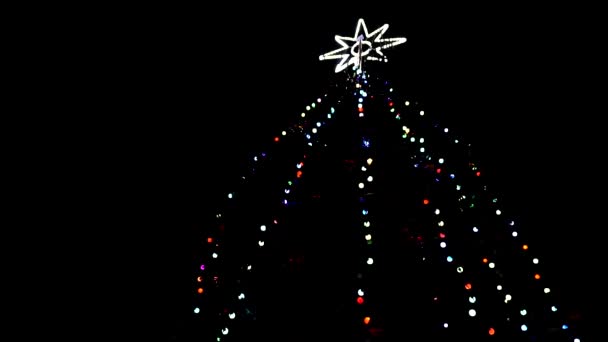 Knipperende vakantielichten op boom boom 's nachts — Stockvideo