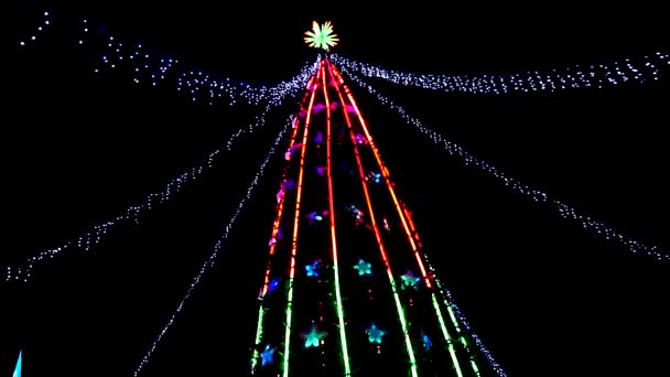 Flashing holiday lights on tree tree at night — Stock Video