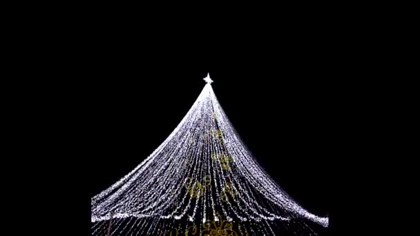 冬季树闪烁在夜间新年垂直视频 — 图库视频影像