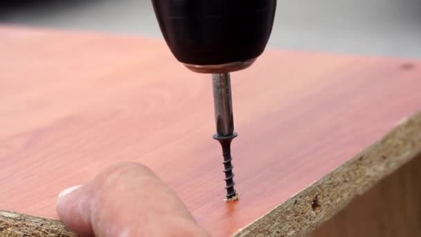 Twisting the screw into the Board with an electric screwdriver — Stock Video