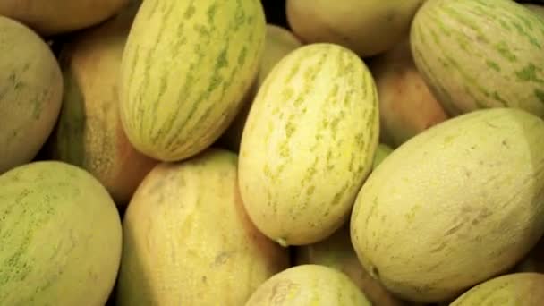 Melouny cukrové v obchodě prodávající ovoce — Stock video
