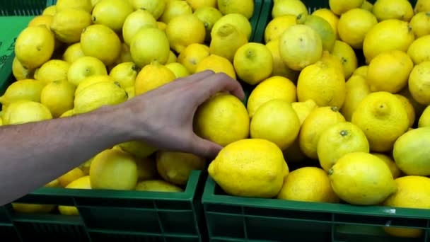 Limões na loja que vende citrinos de fruto. O comprador escolhe o limão — Vídeo de Stock