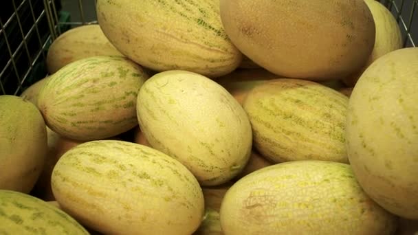 Plody v melounu ovoce prodej zralých plodů v obchodě — Stock video