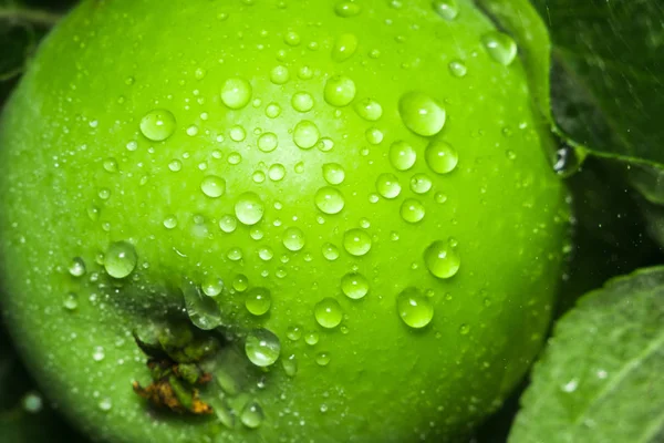 Fresh green Apple close-up — Stock Photo, Image