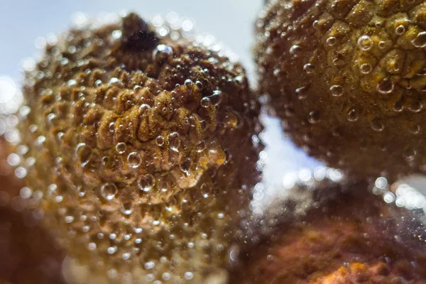 Litchi fruit close-up — Stock Photo, Image