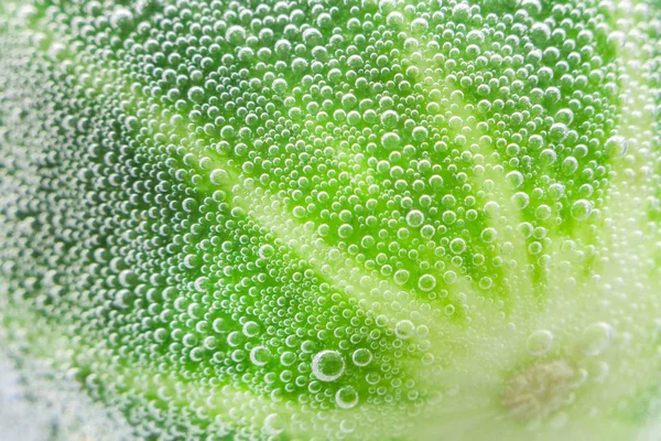 Pepino verde fresco — Fotografia de Stock