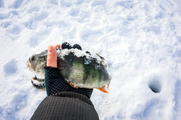Ловить рыбу на снегу. зимняя рыбалка — стоковое фото