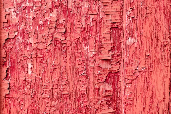 Old paint coral color background texture — Stock Photo, Image