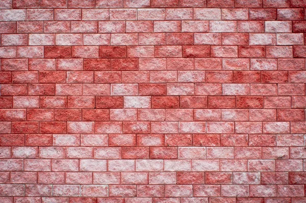 Pared de ladrillo rojo moderno color coral ladrillos blancos — Foto de Stock