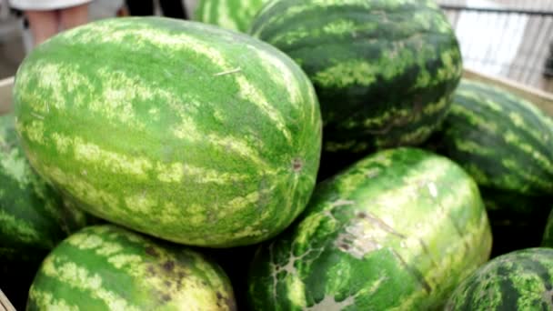 Közelről egy halom gyönyörű finom zöld görögdinnye a piacon padon, vagy pult. Mezőgazdasági háttér-koncepció. Piaci tálca mezőgazdasági gazdaság teljes bio zöldségek — Stock videók