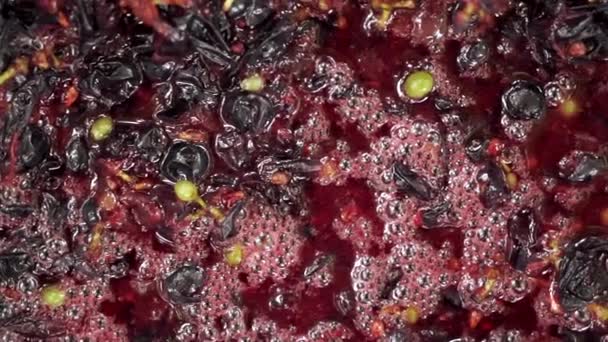 Moído uvas closeup fabricação de vinho — Vídeo de Stock