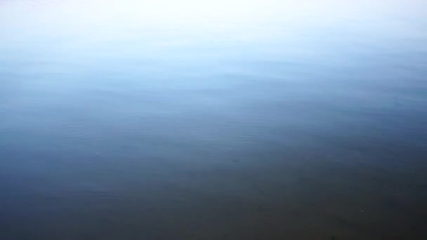 夏の川の背景水 — ストック動画
