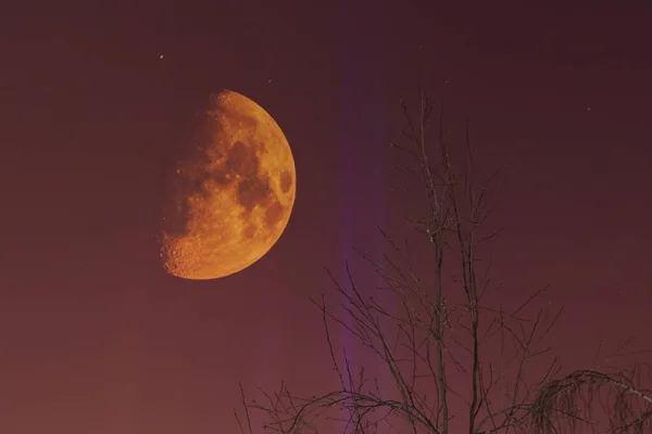 Lua grande no céu — Fotografia de Stock