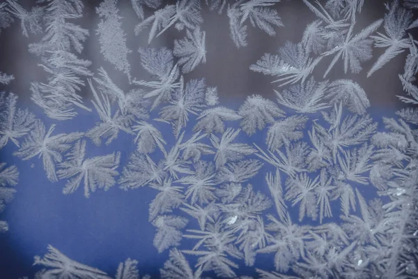Janelas congeladas no inverno — Fotografia de Stock