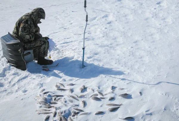 「冬の釣り」という白い背景概念で — ストック写真
