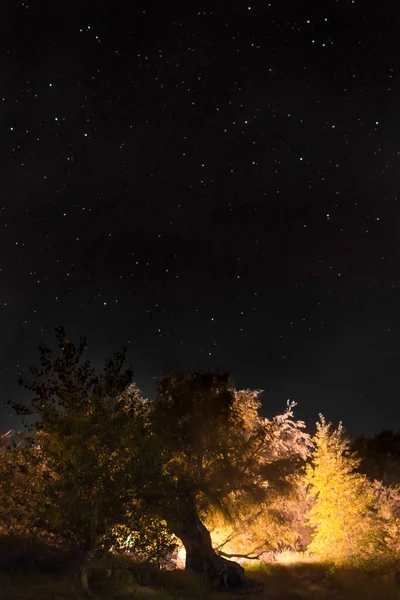 Noční obloha svisle — Stock fotografie