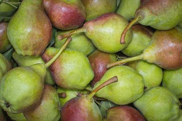 Birnen Hintergrund der reifen Früchte — Stockfoto