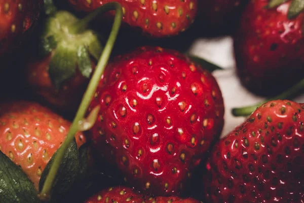 Verse aardbeien in de tuin — Stockfoto