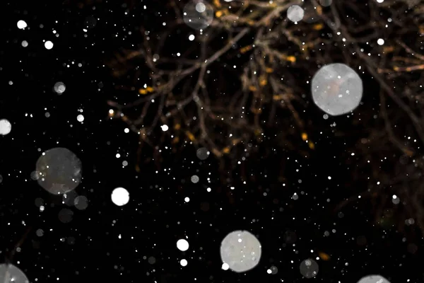 Snow on black texture background — Stock Photo, Image