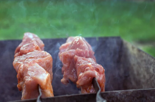 Carne fresca no espeto — Fotografia de Stock