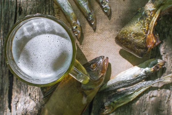 Vaso de cerveza con pescado seco — Foto de Stock