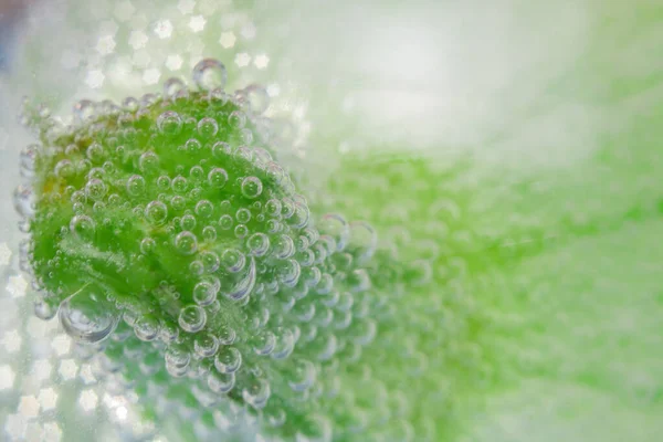 Fresh zucchini macro — Stock Photo, Image