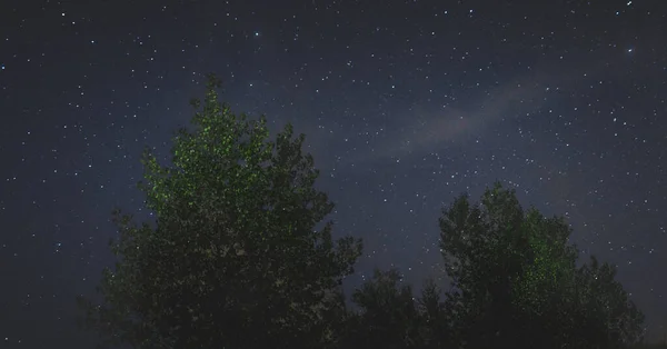 Krajina noční oblohy siluety stromů — Stock fotografie