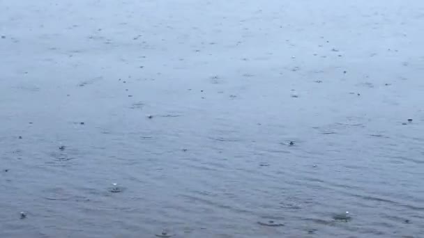 Дощі впадають у воду на річці. На поверхні води з'являються бульбашки. похмурий осінній день — стокове відео