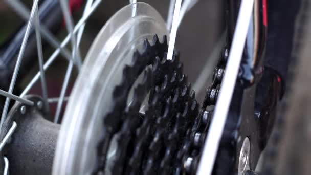 Masters, lubricate the bicycle chain of a mountain bike with a special lubricant in the home workshop. Cleaning and lubricating the bicycle chain and gearbox with oil spray close up selective focus — Stock Video