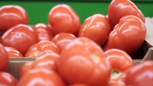 Tomates maduros no mercado contra close-up foco seletivo. Compra de vegetais maduros colheita — Vídeo de Stock