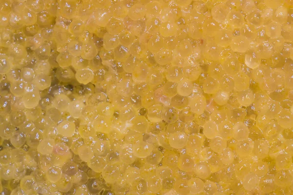 Caviar gros plan — Photo