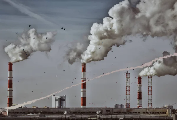 Fábricas de contaminación humo de las tuberías —  Fotos de Stock