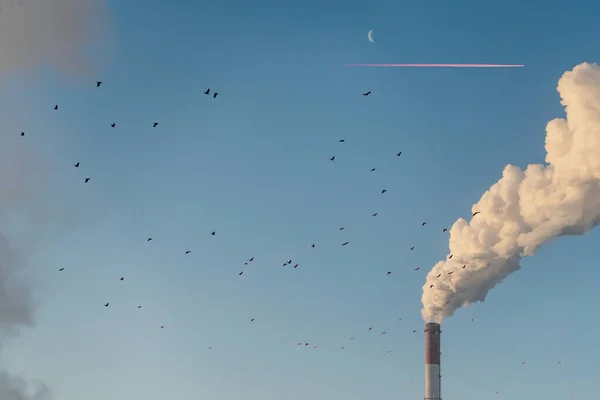 Usines de pollution fumée des tuyaux — Photo