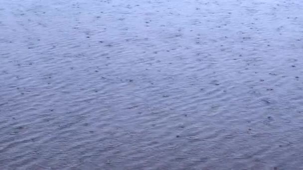 Капли Дождя Падают Воду Большие Капли Дождя Падают Лужу Время — стоковое видео