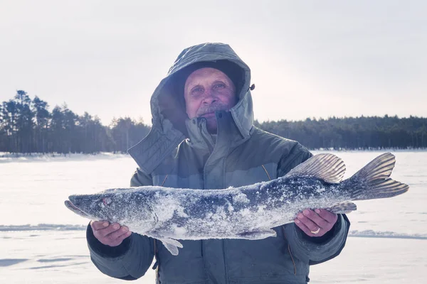 A man holds big pike, winter ice fishing — Stock Photo, Image