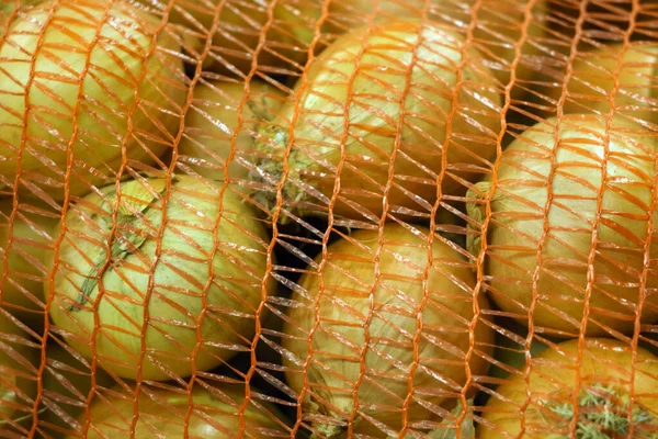 Cebola legumes vendendo cebolas no mercado — Fotografia de Stock