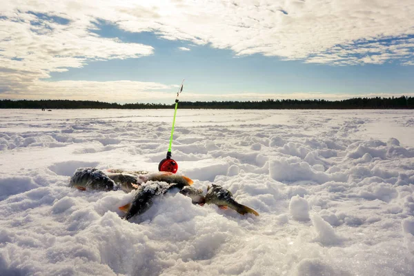 凍った湖で冬の釣りの魚 — ストック写真