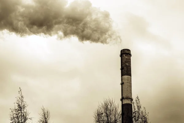 Καμινάδα στη βιομηχανία παραγωγής θερμικής ηλεκτρικής γεννήτριας. καπνός από τους σωλήνες του εργοστασίου οικολογία ρύπανσης του περιβάλλοντος — Φωτογραφία Αρχείου