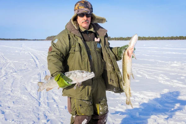 Hombre sostiene un gran lucio de pescado en invierno. Pesca de invierno pesca trofeo actividades al aire libre hobby —  Fotos de Stock