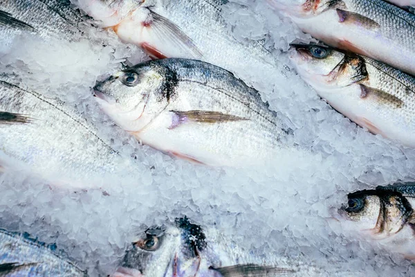 Dorado hal a jégen friss fagyasztott hal eladó — Stock Fotó