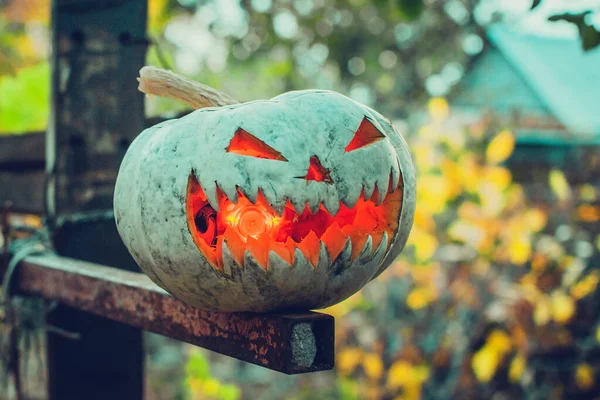 Тыква на Хэллоуин осенью в природе — стоковое фото