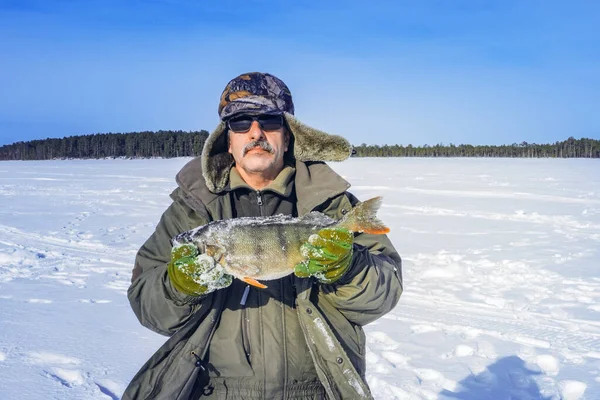 Рыбак поймал окуня на зимней спортивной рыбалке — стоковое фото