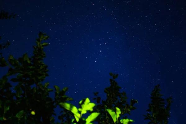 Зоряні зірки нічного неба природа — стокове фото
