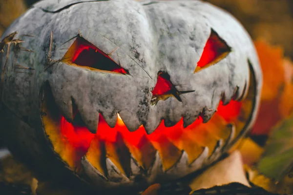 Страшная тыква на Хэллоуин осенью — стоковое фото